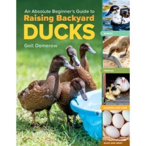 An Absolute Beginner’s Guide to Raising Backyard Ducks : Breeds, Feeding, Housing and Care, Eggs and Meat by Gail Damerow