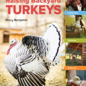 An Absolute Beginner’s Guide to Raising Backyard Turkeys