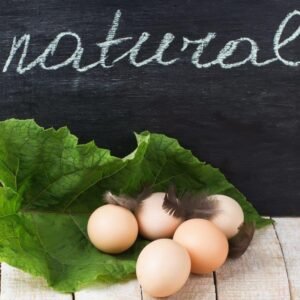 Organic Egger™ Hatching Eggs