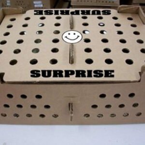 Hatchery Surprise