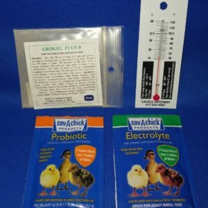 Fast Start Chick Packet