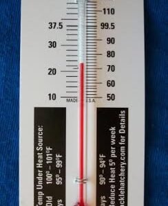Small Thermometer
